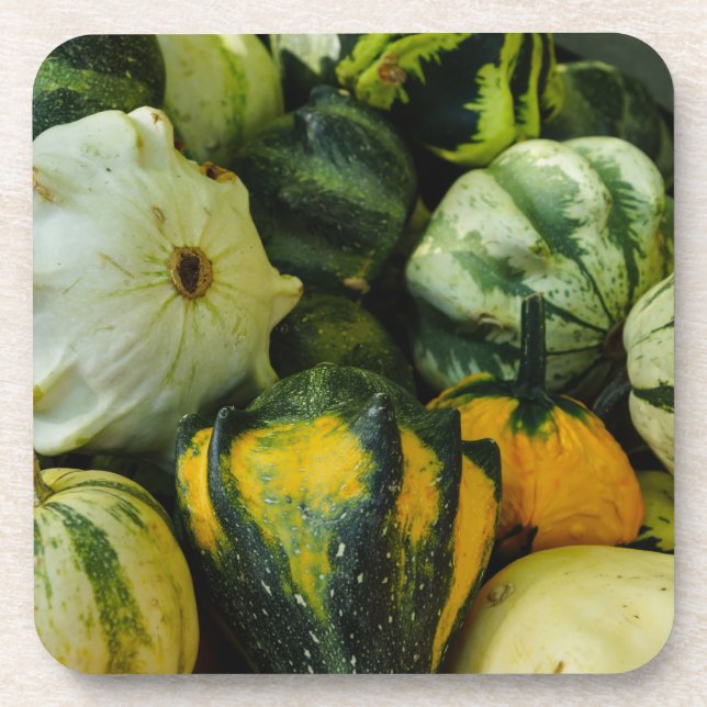Gourds Galore Coaster (Front)