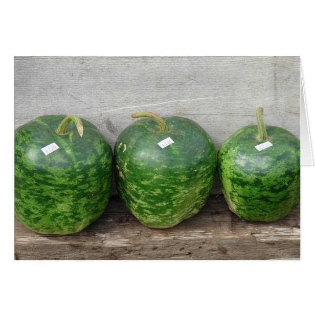 Gourds in A Row (Front Horizontal)