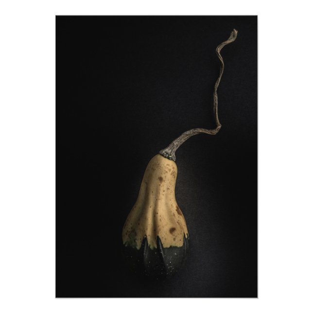 Gourds No 12 Colour Version Photo Print (Front)