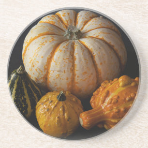 Gourds & Pumpkin Vignette Coaster