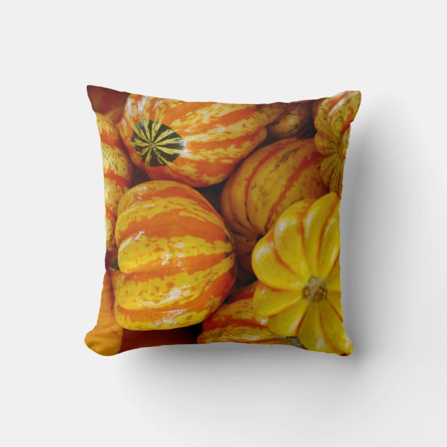 Gourds Pumpkins Fall Autumn Rustic Country Cushion (Front)