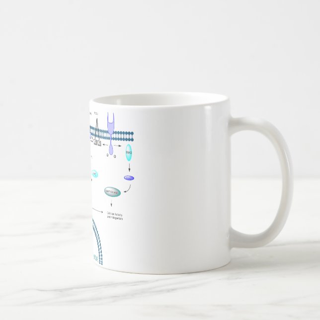 GPCR pathway Coffee Mug (Right)