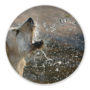 gr chasing water ceramic knob