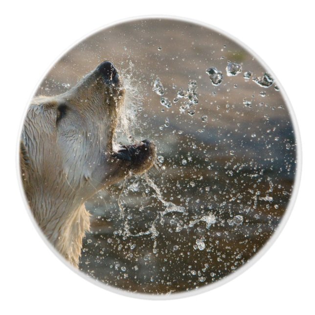 gr chasing water ceramic knob (Front)