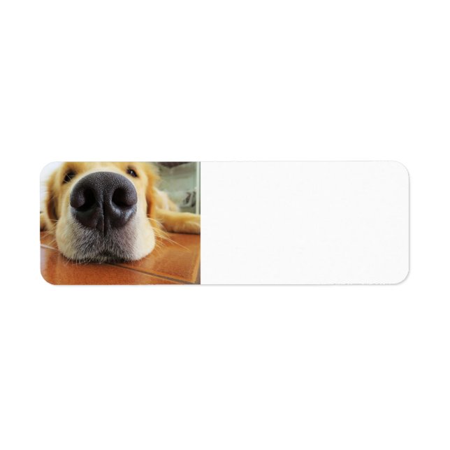 gr laying flat up close return address label (Front)