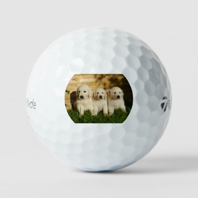 gr pup group 2 golf balls (Front)