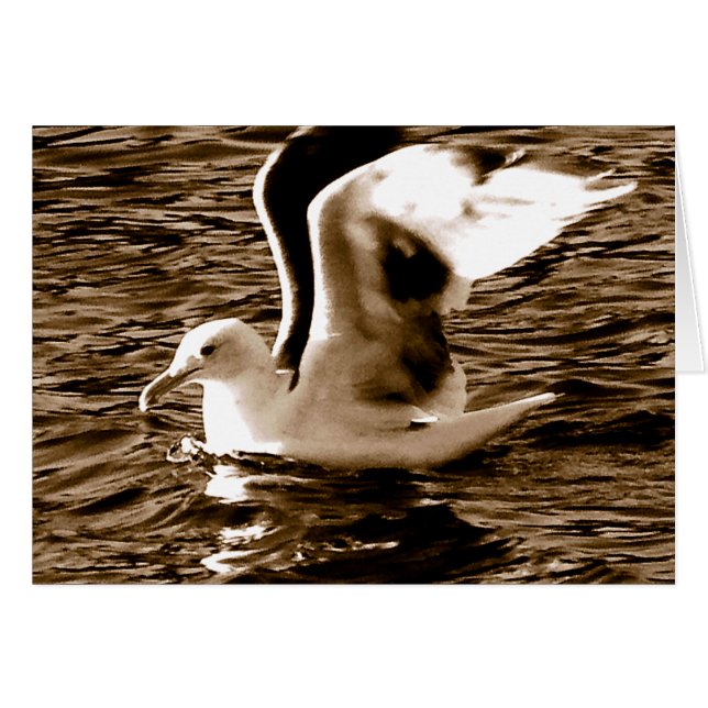 Grace_ (Front Horizontal)