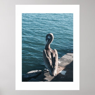 Grace California Colour Photography Poster