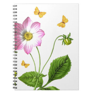 Grace Notebook