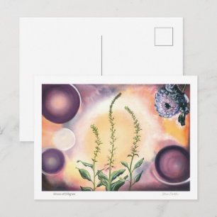 Grace of Filigree - Postcard