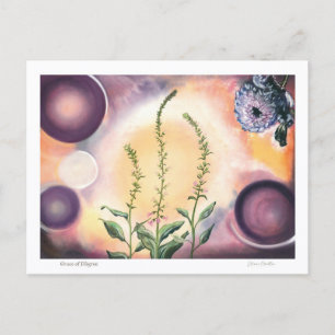 Grace of Filigree - Postcard