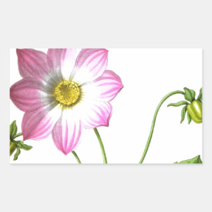 Grace Rectangular Sticker