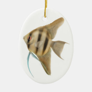Graceful Angelfish Ornament