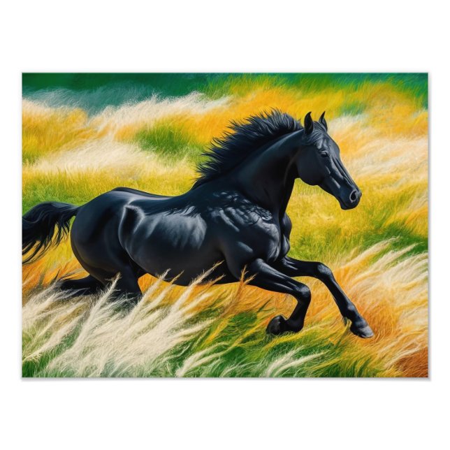 Graceful Black Horse Galloping in Vibrant Field of Photo Print (Front)
