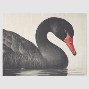 Graceful Black Swan in Ornithology Decoupage Style Tissue Paper
