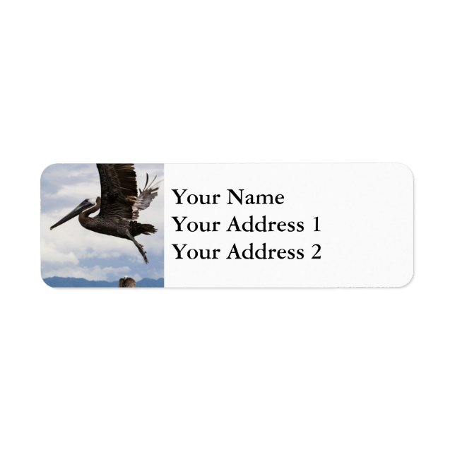 Graceful Brown Pelican Return Address Label (Front)