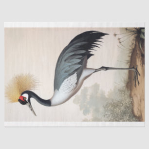 Graceful Crane Vintage Ornithology Decoupage Art Tissue Paper
