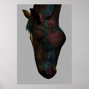 Graceful Equine Sip: Colourful Horse Head Design Poster