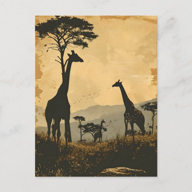 Graceful Giants: Vintage Giraffes Postcard (Front)
