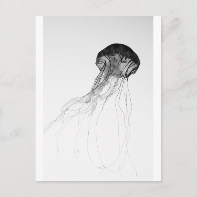 Graceful Jellyfish Postcard (Front)