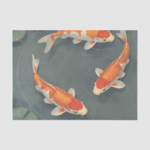 Graceful Koi Fish Pond Serenity Design Tissue Paper