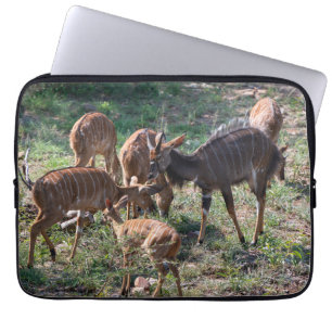 Graceful Nyala Antelope in Africa Laptop Sleeve