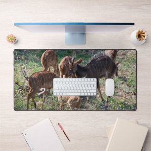 Graceful Nyala in African Grasslands Desk Mat