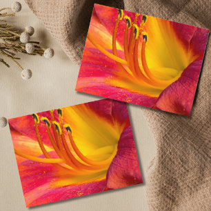 Graceful Red Daylily Postcard