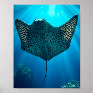 Graceful Spotted Ray: Underwater Serenity Poster