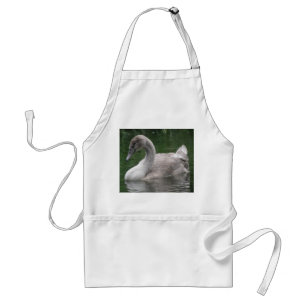 Graceful Swan on the Water Apron