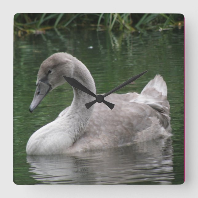 Graceful Swan on the Water Clock (Front)