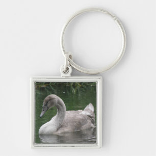 Graceful Swan on the Water Keychain