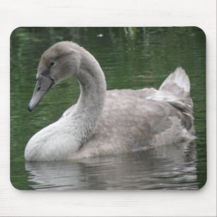 Graceful Swan on the Water Mousepad