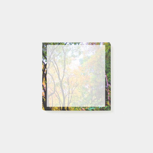 Graceful Trees Colourful Leaves Scenic Nature Post-it Notes (Front)