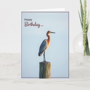 Graceful Wader Birthday Card