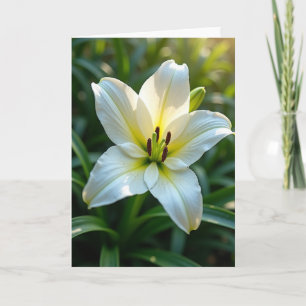 Graceful White Birthday Card