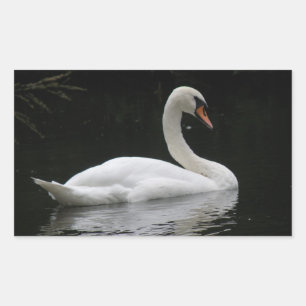 Graceful White Swan Stickers