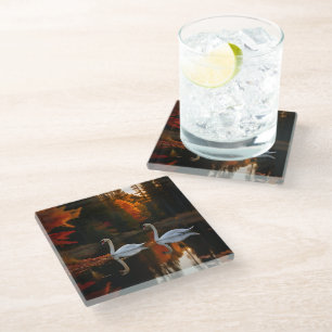 Graceful White Swans Gliding Across Autumn Pond Glass Coaster