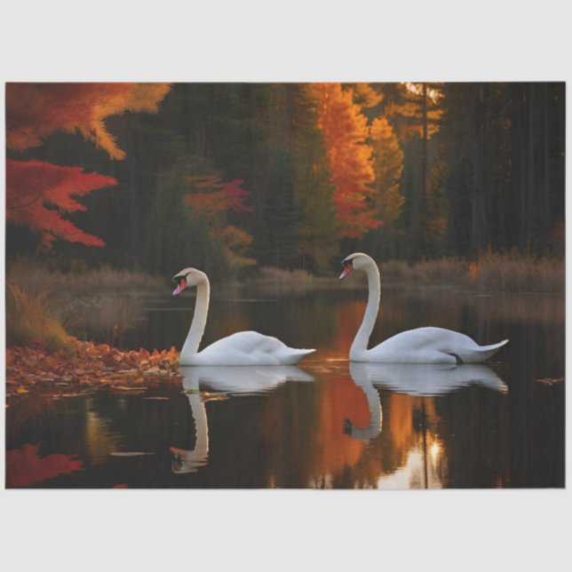 Graceful White Swans Gliding Across Autumn Pond Tissue Paper (Front)