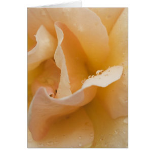 Grace's Gentle Touch Card