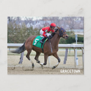 Gracetown Postcard