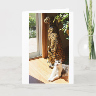 Gracey and Bad Kitty Sunbathing Card