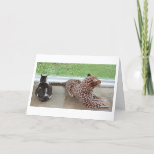 Gracey and Lazy Leopard Card