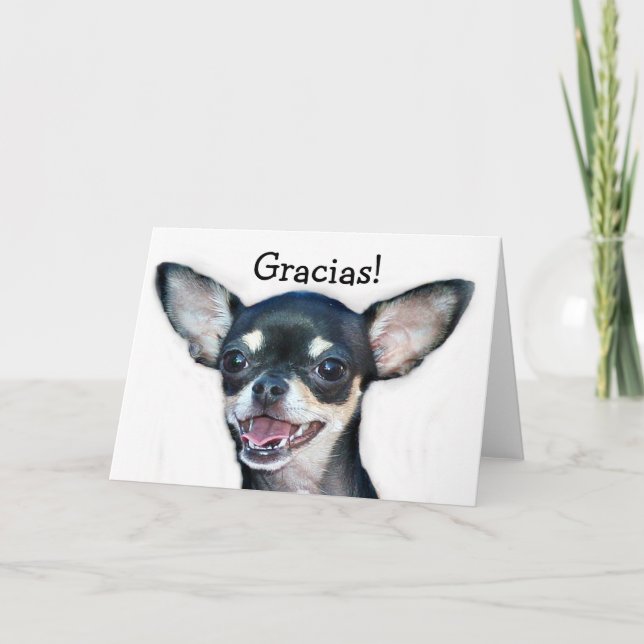 Gracias Chihuahua greeting card (Front)