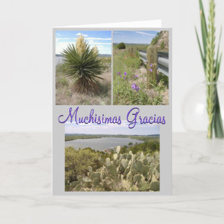 Gracias! Thank You Card