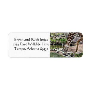 Gracious Giraffe Return Address Label