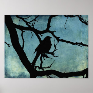Grackle 2 poster