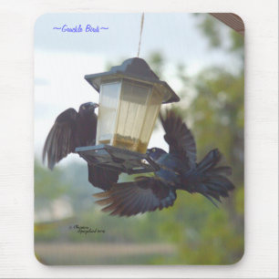 Grackle birds Blackbirds Mousepad