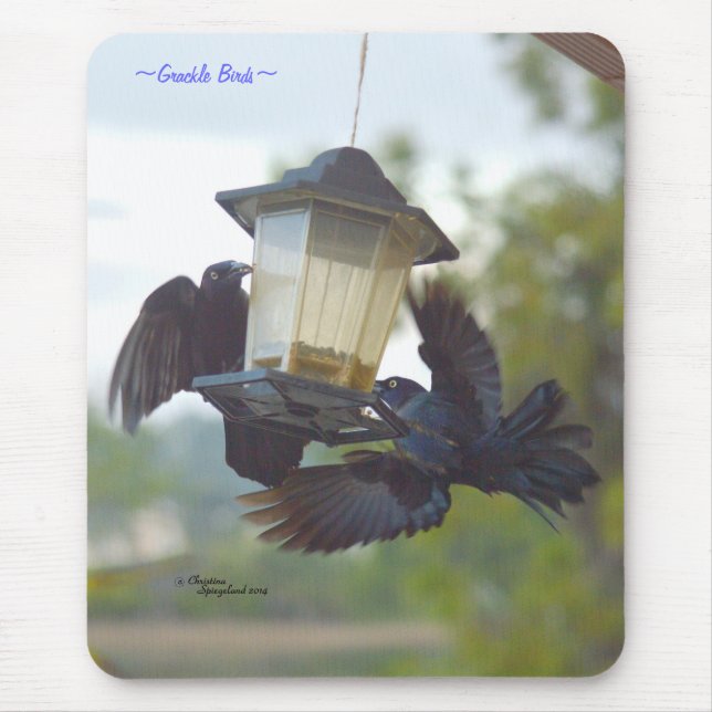 Grackle birds Blackbirds Mousepad (Front)
