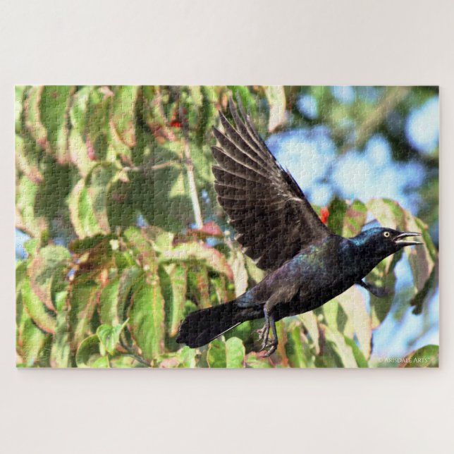 Grackle in Flight Jigsaw Puzzle (Horizontal)